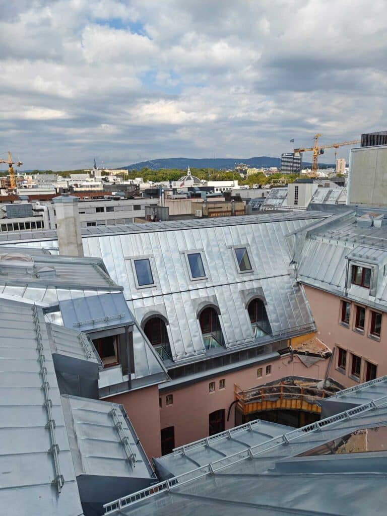 Oversikt over zinktekket tak med takvinduer og snøfangere, med Oslo sentrum i bakgrunnen.
